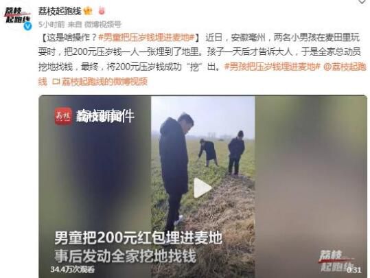 男孩把压岁钱埋进麦地 全家总动员结果一顿好找