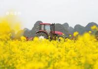 人勤春早劳作忙 全国各地农民积极投入农业生产之中