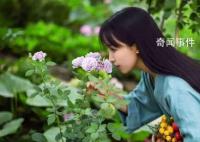 微念退出李子柒公司 双方均保持沉默