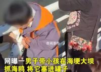 家长带男孩抓海鸥硬生生塞进罐子 视频中还有一女子让孩子抓翅膀