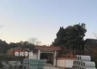 知情人:胡鑫宇或翻墙爬入粮库