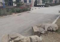 博物馆回应石狮被丢在门口:放不下 