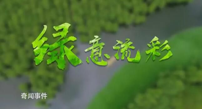绿意流彩 2月2日是第27个世界湿地日