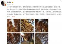 张颂文曾是广东省最佳导游 90年代一度月入2万