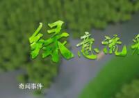 绿意流彩 2月2日是第27个世界湿地日