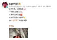 武磊喜获第三胎 一家四口变五口