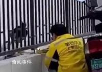 流调中“最勤劳”外卖员孩子将出生