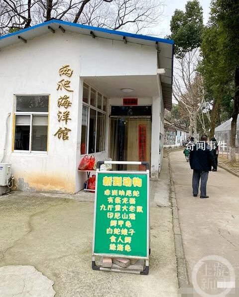 安徽一动物园被曝有九斤重大老鼠 现在没有了老鼠去繁殖了