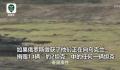 豹2坦克被俄缴获怎么办 德军:不怕