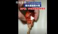 男子称买袋装鸡腿骨头里插木棍 生产商：不可能出现这种情况