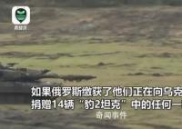 豹2坦克被俄缴获怎么办 德军:不怕