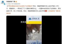 男孩通宵赶完作业被狗子撕碎 隔着屏幕都听到心碎的声音