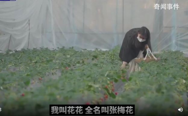 白血病女孩坚持卖草莓13年 种植草莓成为她唯一的收入来源