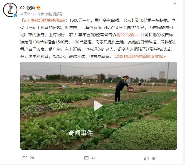 上海掀起租地种菜热:1500元一年