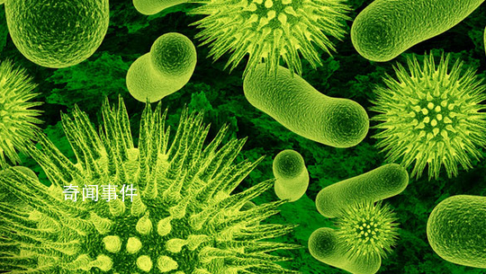 气候变化将致超级细菌增加 使细菌增强对抗生素的耐药性