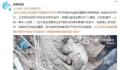 父亲遗体僵硬仍保持护住孩子的姿势 地震已造成该国9057人遇难