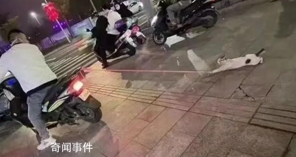 骑车拖行小猫致死当事人公开道歉 深感痛心恳请原谅