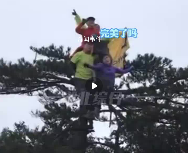 大爷大妈景区爬松树站树顶拍照 还不停询问完美了吗