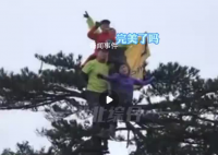 大爷大妈景区爬松树站树顶拍照 还不停询问完美了吗