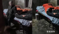 官方辟谣老人被4子抛弃住猪圈 现已调解完毕