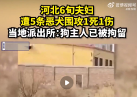 六旬夫妇遭恶犬围攻1死1伤 狗主人已被拘留