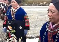 景区回应“苗寨跳舞的全是阿姨” 年轻人在中间敬酒