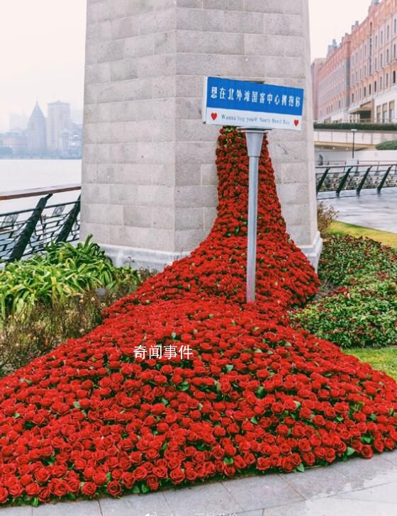 杭州地铁口惊现玫瑰瀑布 网友：杭州是懂浪漫的