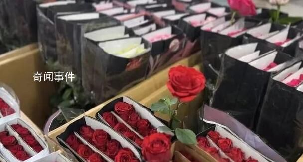 北京鲜花价格“刺手” 玫瑰翻价5倍