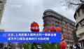 7朵郁金香撑起上海武康路流量 网友戏称：反对郁金香欺诈