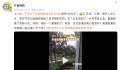 情人节的垃圾桶成了“致富秘笈”?