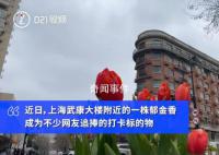 7朵郁金香撑起上海武康路流量 网友戏称：反对郁金香欺诈
