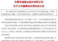 华夏幸福孟惊被带走 或与李铁案有关