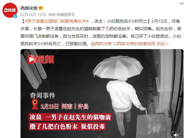 男子凌晨在猫咖门前投毒 已报警处理