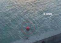 厦门地铁回应列车被逼停在高架上 气球飞进线网