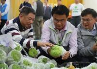台湾几千吨凤梨释迦滞销 岛内消费者难以消化如此大的量