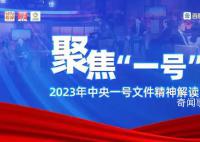 中国人均肉类消费远超膳食标准 可通过肉类消费结构调整保障粮食安全