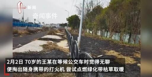 老人等公交无聊烧绿化带 导致部分树木烧损