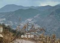 云南12岁失联双胞胎兄弟不幸身亡 救援指挥部正在现场做进一步鉴定