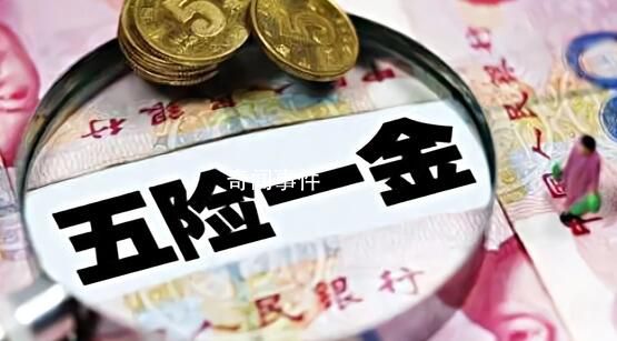 如果不缴纳五险一金会怎样 五险一金到底有啥用
