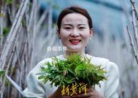 幼师转行新农人年入500万 大棚内种植香椿树当地还是独一份