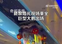 新娘婚礼现场乘坐巨型大鹅出场 这是酒店的特色