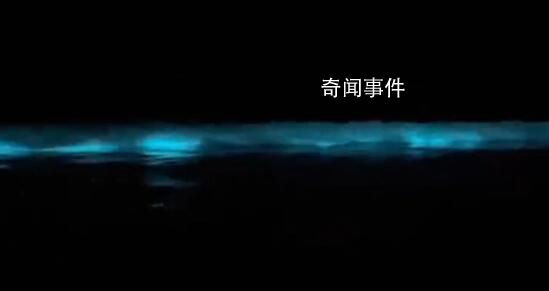 广东海陵岛海滩连日现“蓝眼泪” 这是2023年海陵岛的第一次