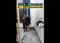 租客跟房东说养宠物结果是匹马 让人大跌眼镜