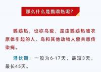 浙江一地本月连续报告鹦鹉热病例 鹦鹉热是什么病会传染吗
