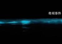 广东海陵岛海滩连日现“蓝眼泪” 这是2023年海陵岛的第一次