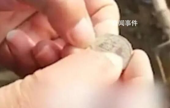 山东村庄现古钱币引大批寻宝者 多为清代民国时期的铜板