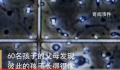 澳男子非法捐精致60个孩子模样相似 用假名字四处登记