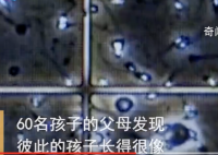 非法捐精致60个孩子模样相似 使用假名的捐精者被揭露