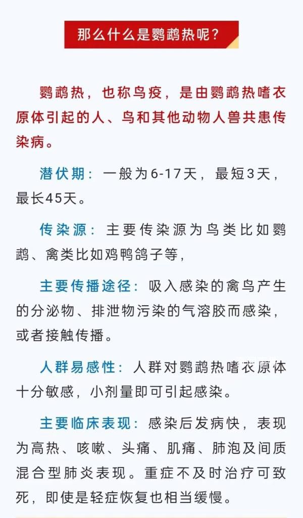 广东一病例高烧不退潜伏45天 鹦鹉热的临床表现是什么