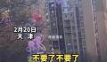 女子卖气球城管要没收 当场全放飞